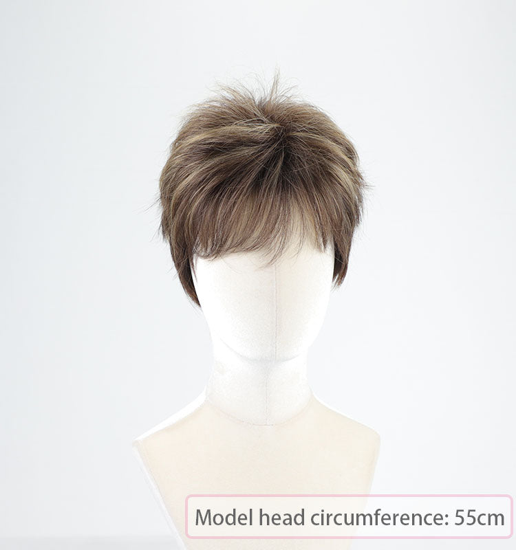 Doris - Wigyy Pixie Cut Hairstyles Daily Use Straight Elegant Wigs