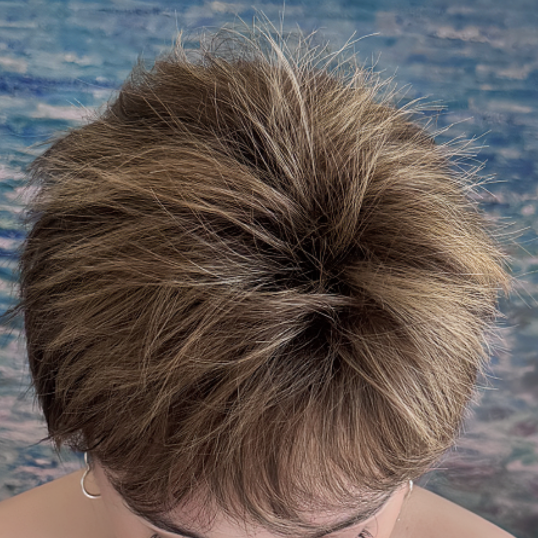Doris - Wigyy Pixie Cut Hairstyles Daily Use Straight Elegant Wigs